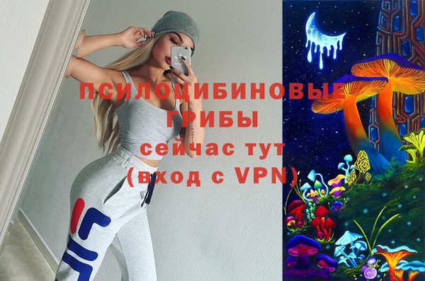 spice Алексин