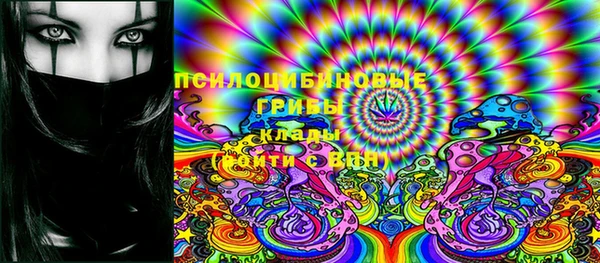 spice Алексин