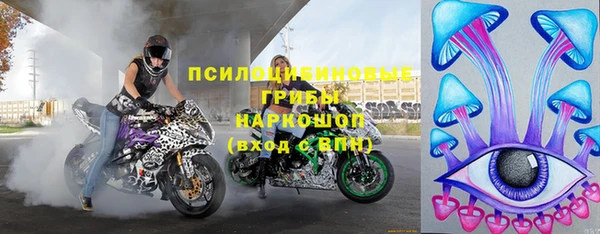 spice Алексин