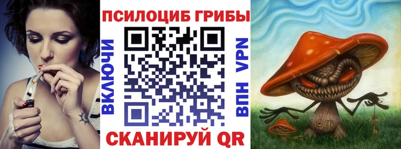 shop клад  Покров  Псилоцибиновые грибы Magic Shrooms 